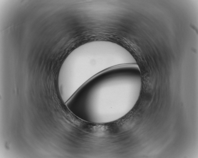 X0000096970225200802080931