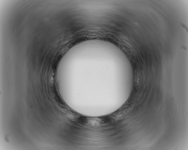 X0000096970226200802080931