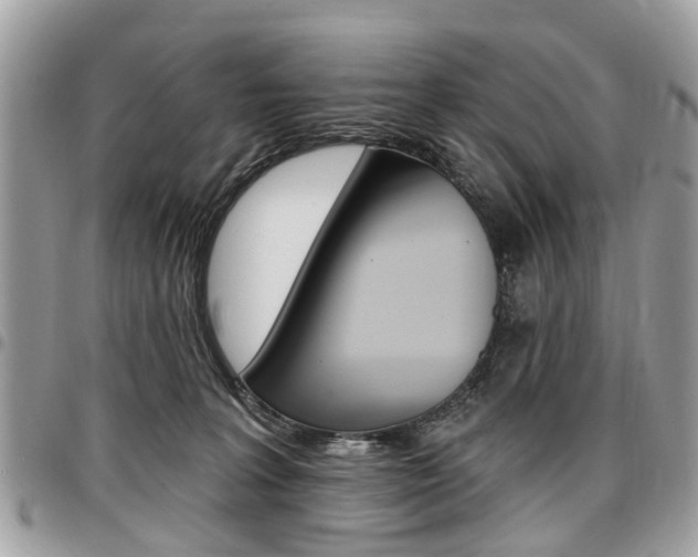 X0000096970227200802080931
