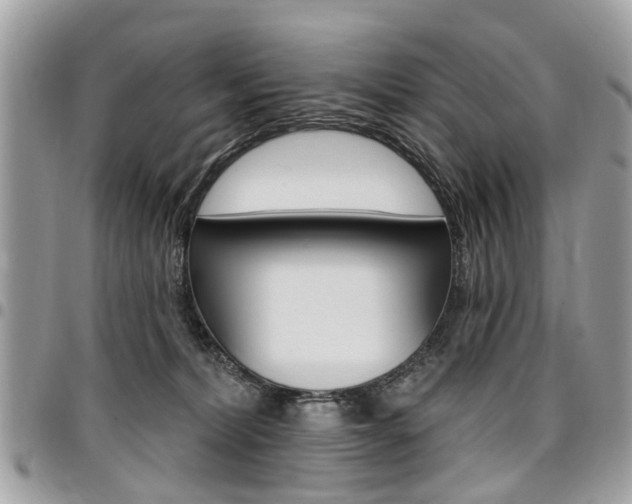 X0000096970228200802080931