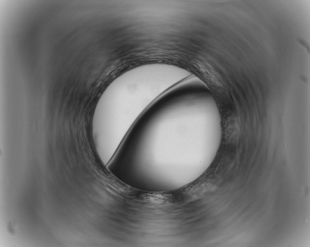 X0000096970229200802080931
