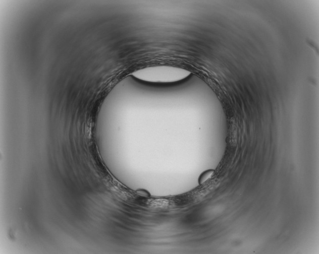X0000096970230200802080931