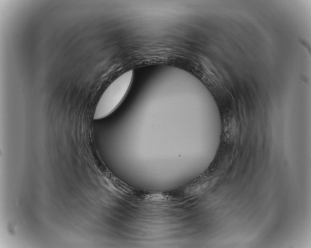 X0000096970231200802080931