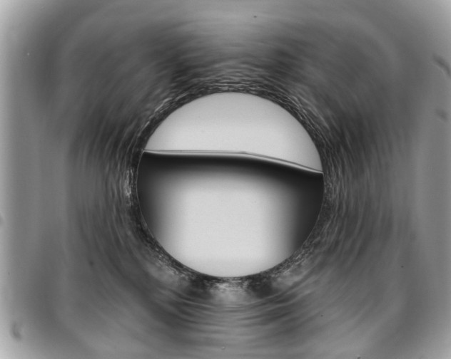 X0000096970232200802080930