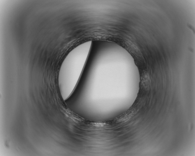 X0000096970233200802080930