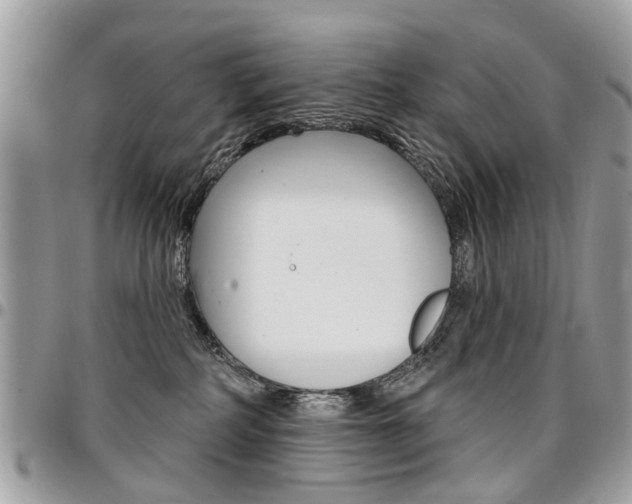 X0000096970234200802080930