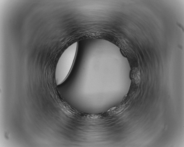 X0000096970235200802080930