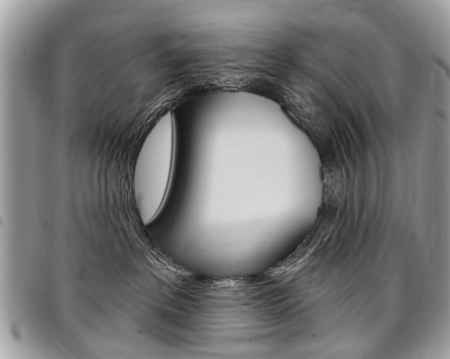 X0000096970237200802080930