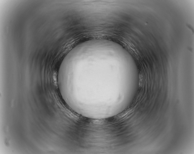 X0000096970238200802080930
