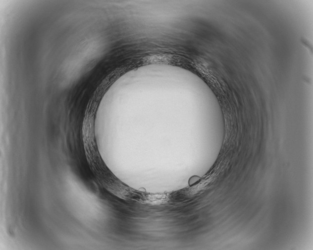 X0000096970240200802080930