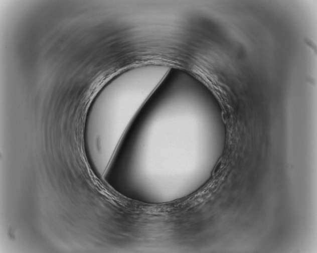 X0000096970241200802080929