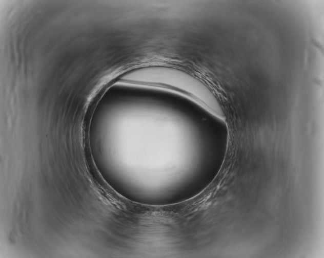X0000096970244200802080929