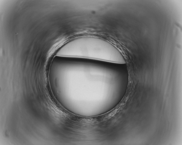 X0000096970245200802080929