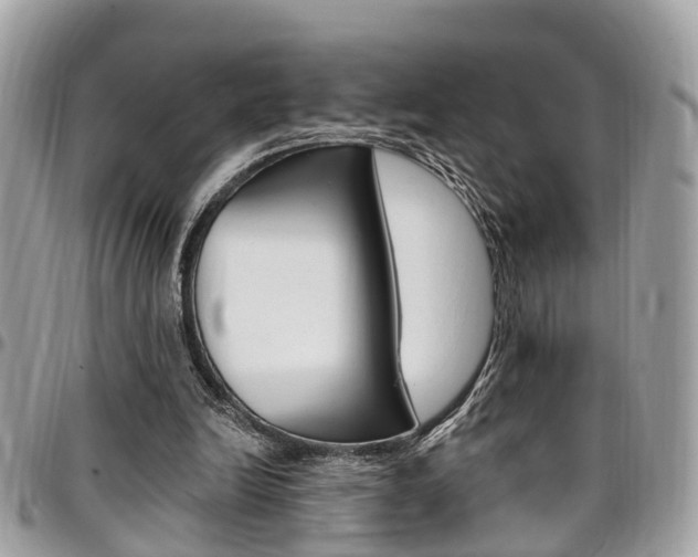 X0000096970246200802080929