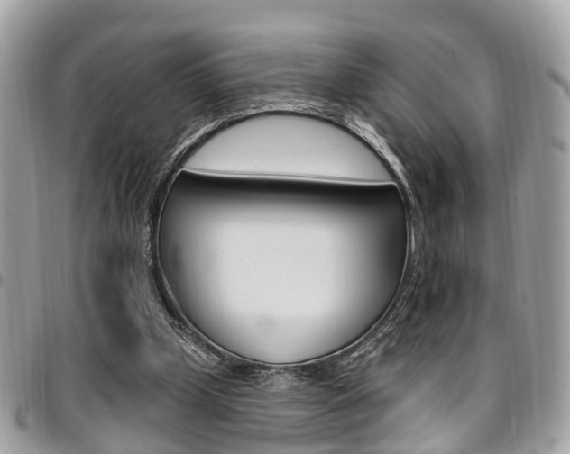 X0000096970249200802080930
