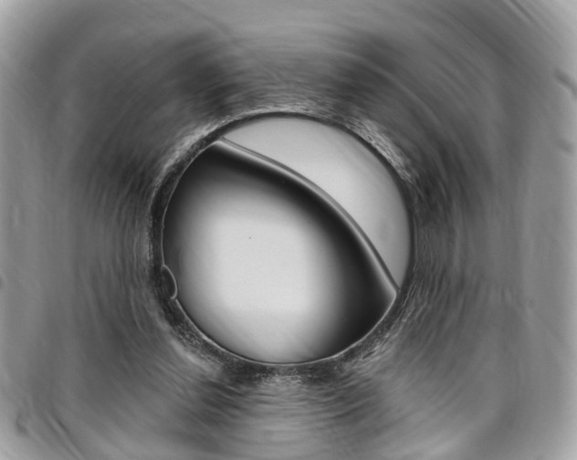 X0000096970252200802080930