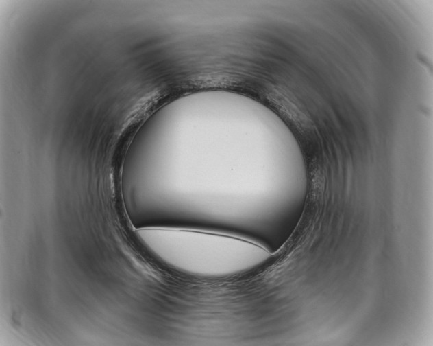 X0000096970254200802080930