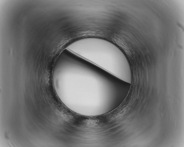 X0000096970255200802080930