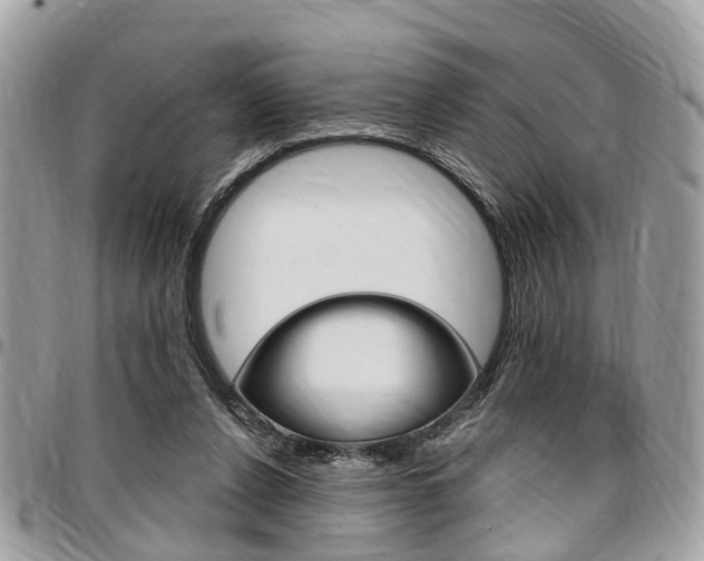 X0000096970256200802080930
