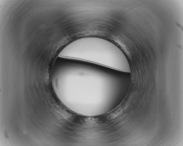 X0000096970261200802080930