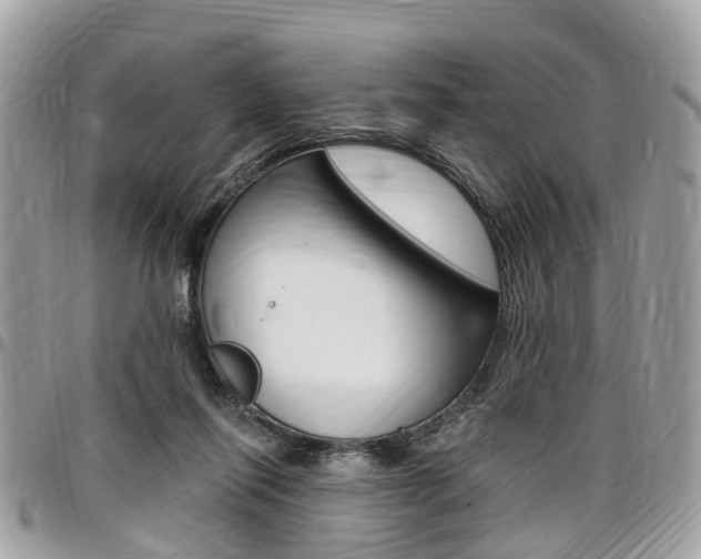 X0000096970262200802080930