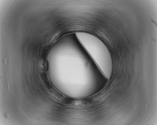X0000096970264200802080930