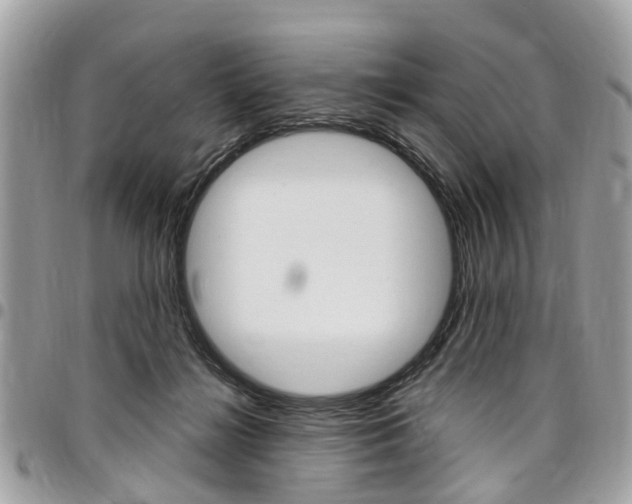 X0000096970268200802080930