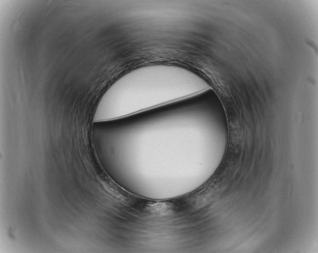 X0000096970269200802080930
