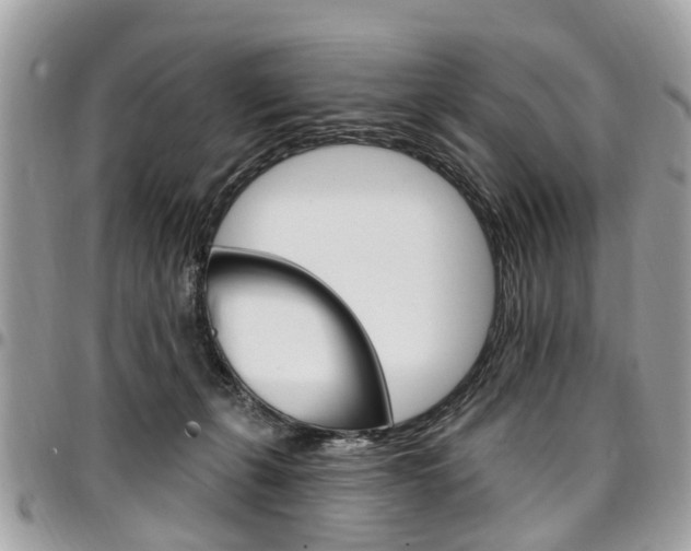 X0000096970271200802080930