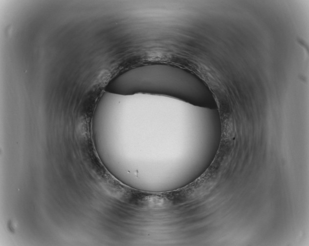 X0000096970272200802080930
