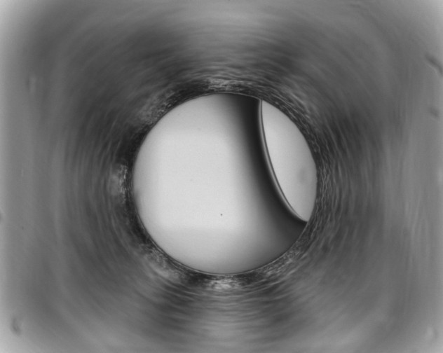X0000096970275200802080930