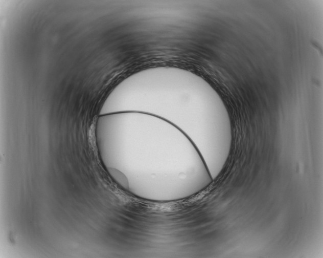 X0000096970276200802080930