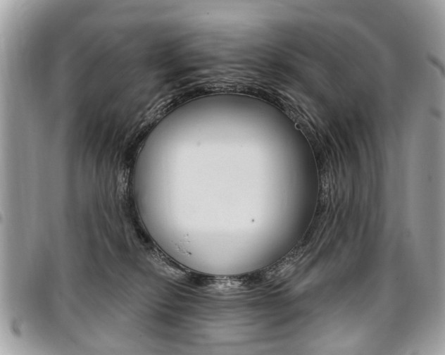 X0000096970278200802080930