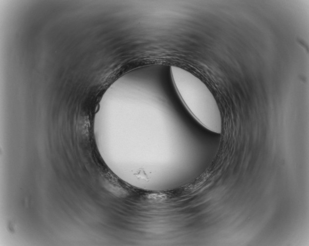 X0000096970279200802080930