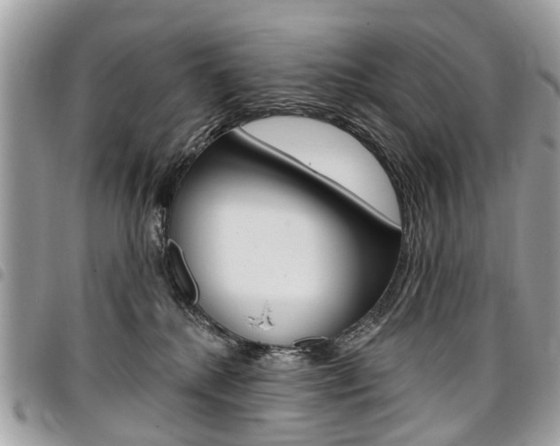 X0000096970280200802080930