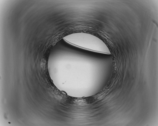 X0000096970283200802080930