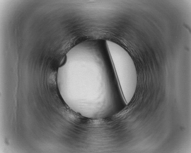 X0000096970286200802080930