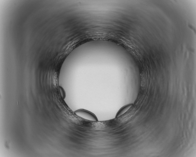 X0000096970287200802080930