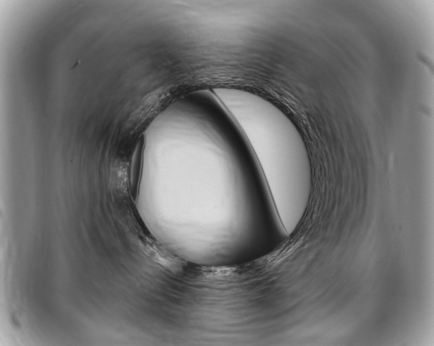 X0000096970288200802080930