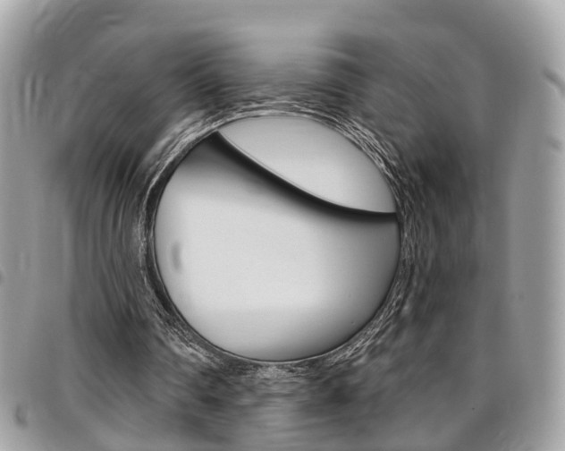 X0000096970290200802080929