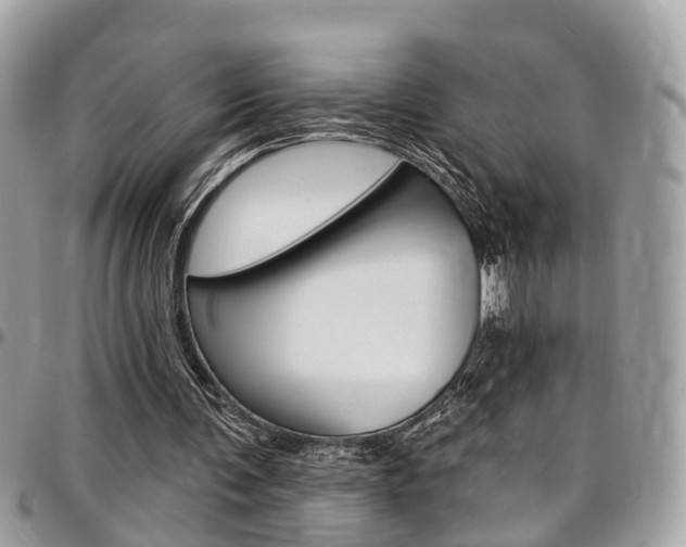 X0000096970291200802080929