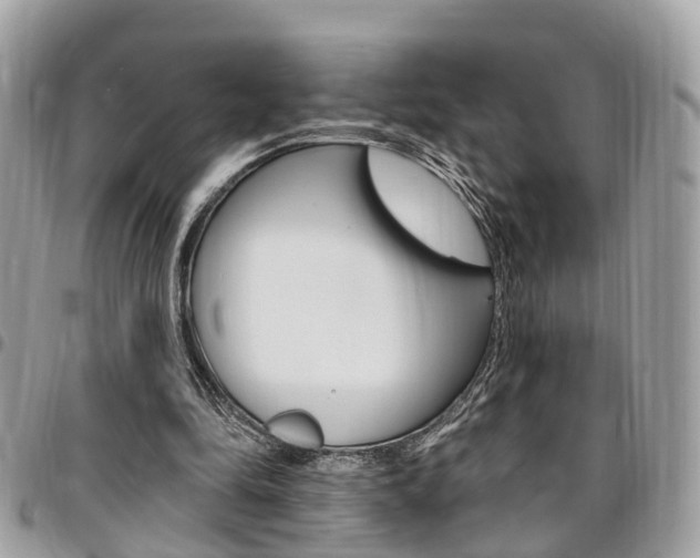 X0000096970294200802080929