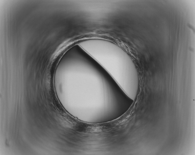 X0000096970295200802080929