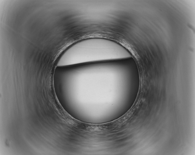 X0000096970297200802080929