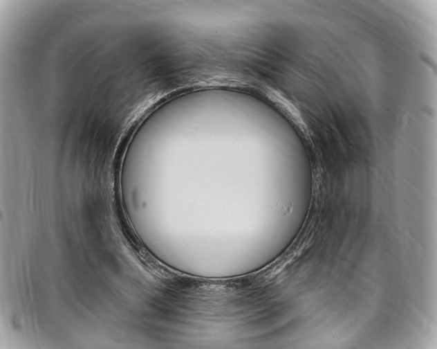 X0000096970298200802080929
