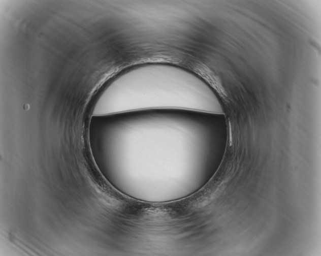 X0000096970300200802080929