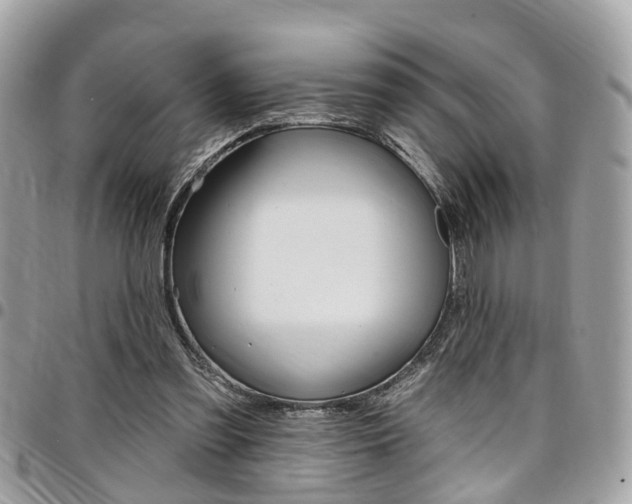 X0000096970301200802080929