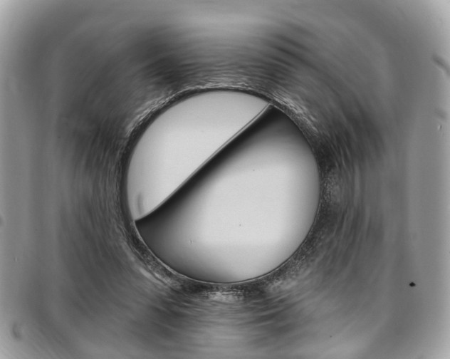 X0000096970303200802080929