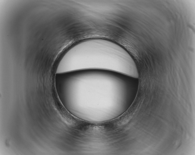 X0000096970304200802080929