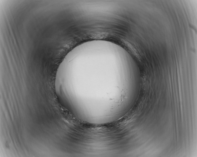 X0000096970307200802080929